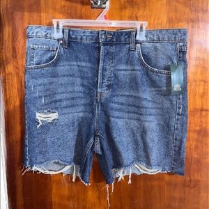 High waisted shorts size 18